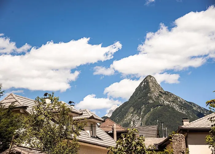 Mountain View Haven - One Bedroom With Balcony Apartment